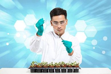 63分钟！《空洞骑士：丝之歌》玩家打破速通世界记录